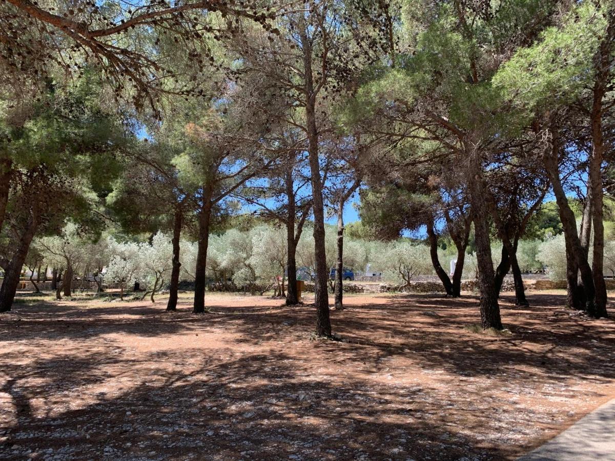 Lunabay II Mobile Home Jezera Εξωτερικό φωτογραφία